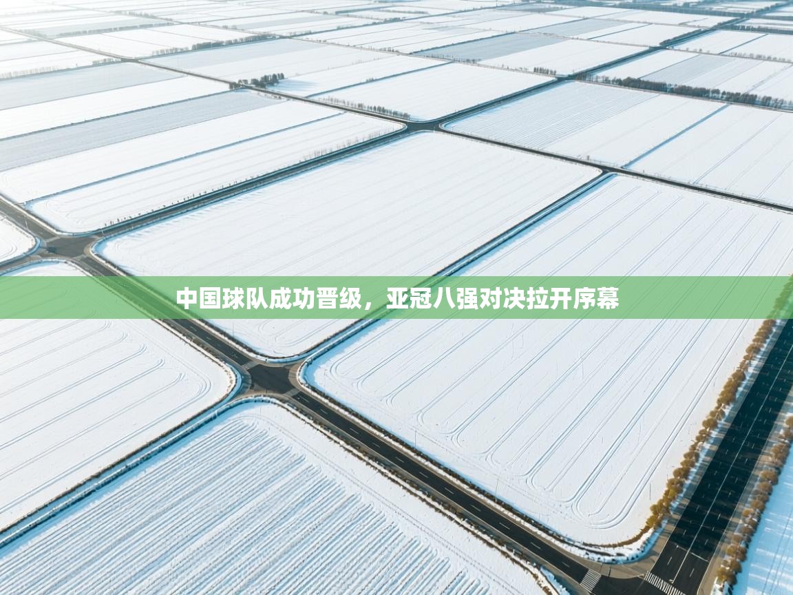 中国球队成功晋级,亚冠八强对决拉开序幕 第2张