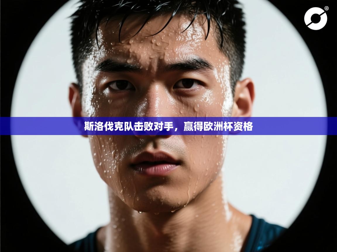 斯洛伐克队击败对手,赢得欧洲杯资格 第2张