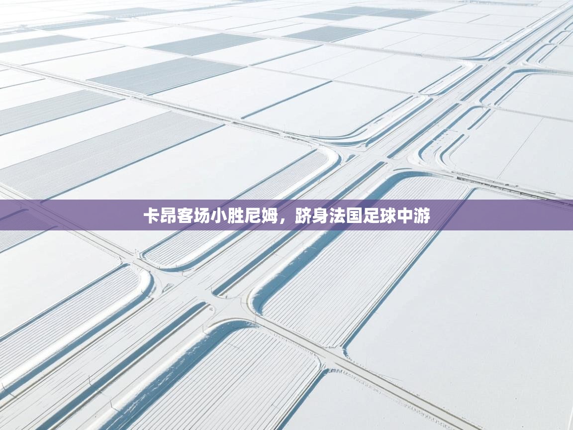 卡昂客场小胜尼姆，跻身法国足球中游  第1张