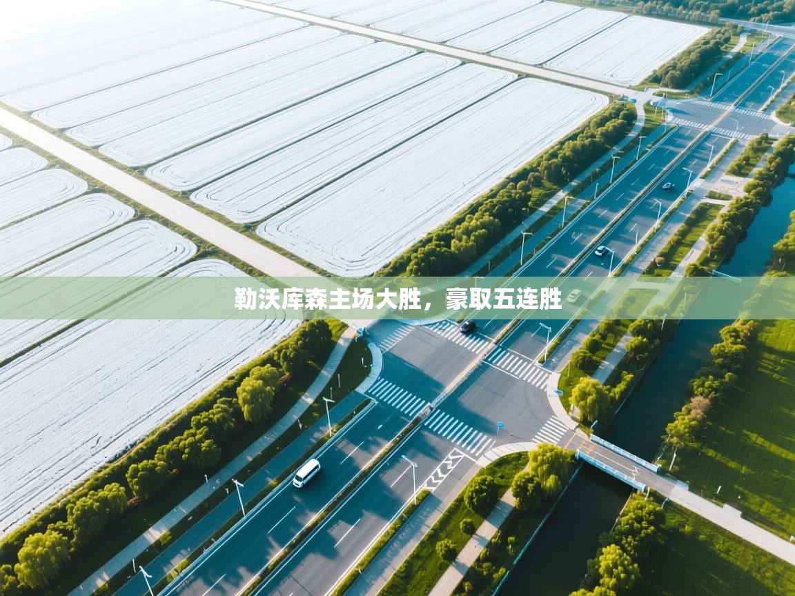 勒沃库森主场大胜，豪取五连胜  第2张