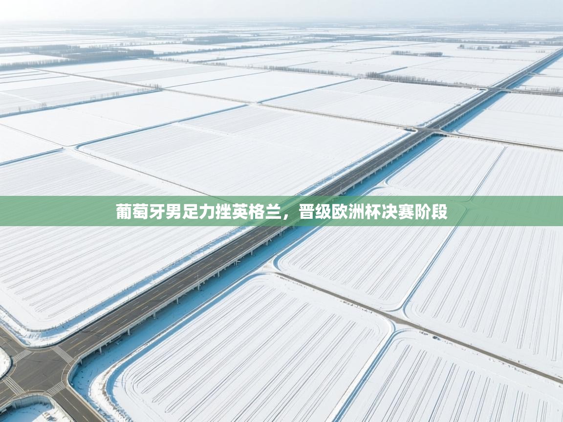 葡萄牙男足力挫英格兰，晋级欧洲杯决赛阶段  第2张